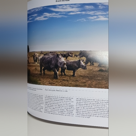 Animal, Exploring the Zoological World is a visually stunning and broad-ranging - Picture 4 of 6